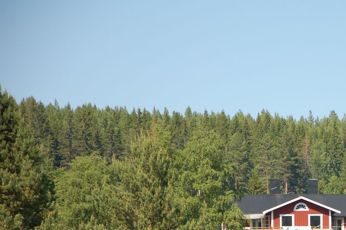 Här bor vi, med skogen och naturen runt hörnet.
